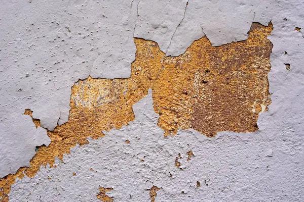 From Soaked to Safe: How Restoration Experts Reclaim Your Space