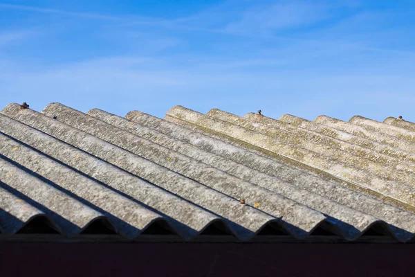 Asbestos Testing for Schools and Public Buildings: Safety First